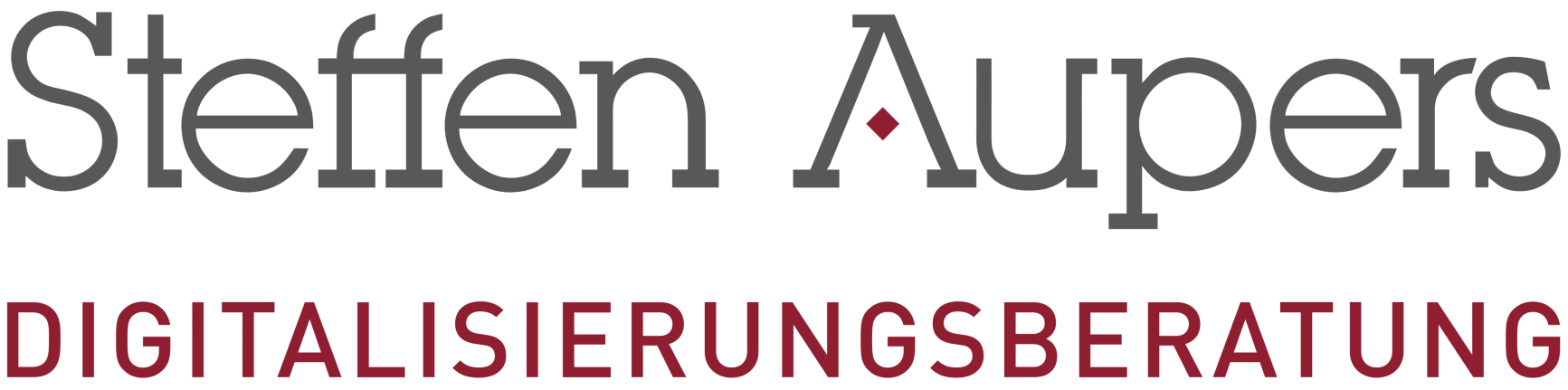 Steffen Aupers – Digitalisierungsberatung